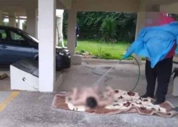 Τα «άπλυτα» της «υγιούς» κοινωνίας