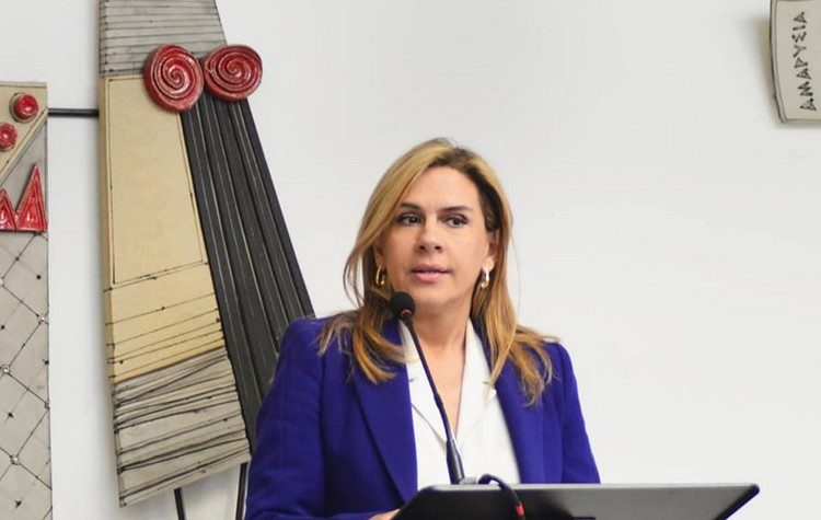 Ζωή Ράπτη: «Εθνικό Σχέδιο ποιοτικών υπηρεσιών Ψυχικής Υγείας»