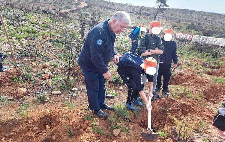 Ακόμα μια δράση εθελοντικής αναδάσωσης από τον ΣΠΑΠ και τους μαθητές της Πεντέλης