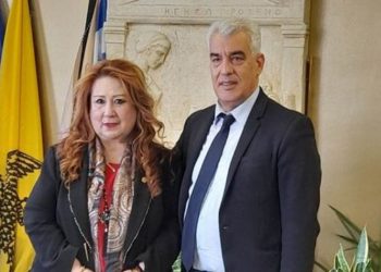 Δέσποινα Θωμαΐδου: «Είμαστε δίπλα στη διεύθυνση και στους γιατρούς της Αγίας Όλγας»
