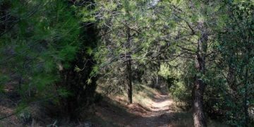 Στη Βουλή φέρνει ο ΣΥΡΙΖΑ την παρέμβαση των συλλόγων κατοίκων για τον Υμηττό
