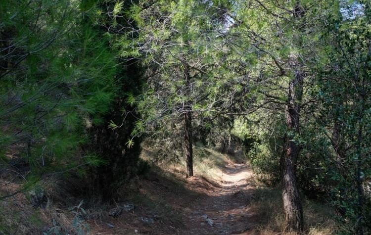 Στη Βουλή φέρνει ο ΣΥΡΙΖΑ την παρέμβαση των συλλόγων κατοίκων για τον Υμηττό