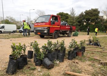 Δεντροφυτεύτηκε το πάρκο Φραγκοκλησιάς στο Πολύδροσο