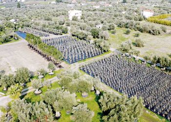 Lamda Development: Επιχείρηση μεταφύτευσης 3.000 δέντρων στο Ελληνικό