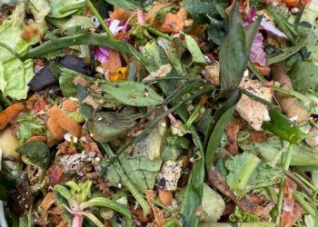 «Σύμμαχος» ο Δήμος στη μείωση της σπατάλης τροφίμων