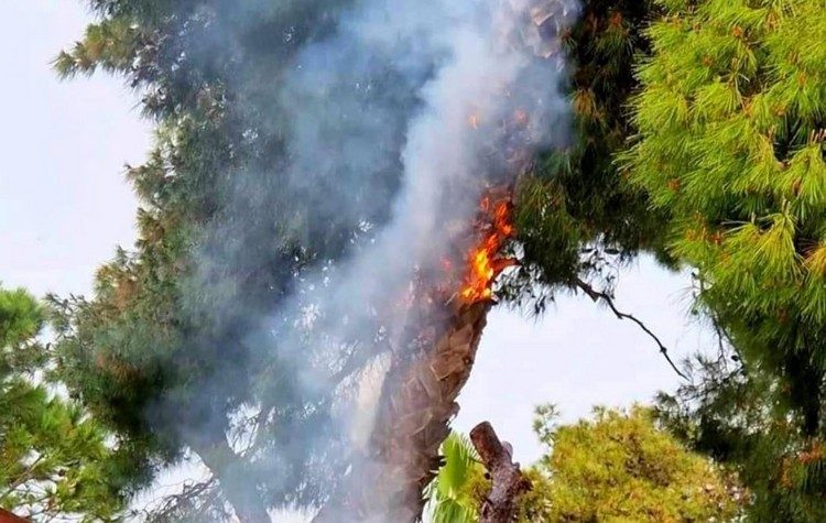 Κεραυνός χτύπησε δέντρο δίπλα από καφετέρια στην πλατεία Ηρώων στο Μαρούσι!