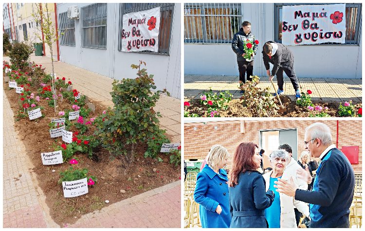 Τα γεράνια ανθίζουν στο 3ο Λύκειο για τις αδικοχαμένες ψυχές των Τεμπών
