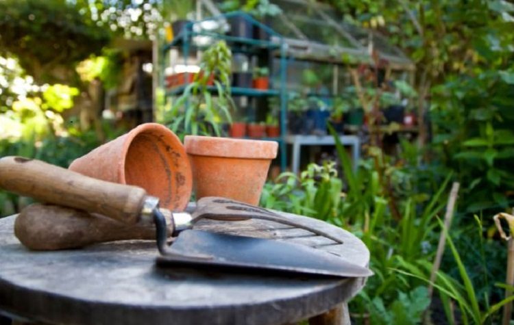 Με «Ελληνικούς Κήπους» το Θεματικό Πάρκο της 69ης Ανθοκομικής Κηφισιάς