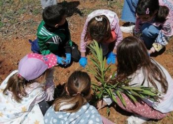 Παλλήνη: Αναδάσωση στο Πάρκο Ανθούσας με τη στήριξη της Αττικής Οδού