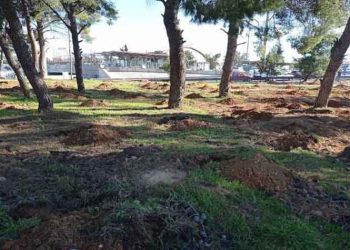 Δεντροφύτευση στο πάρκο Φραγκοκκλησίας