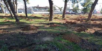 Δεντροφύτευση στο πάρκο Φραγκοκκλησίας