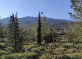 Λαϊκή Συσπείρωση: Πρωτοβουλία συζήτησης για τον Υμηττό στο Δημοτικό Συμβούλιο