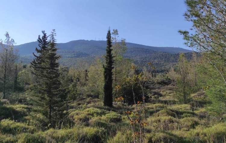 Λαϊκή Συσπείρωση: Πρωτοβουλία συζήτησης για τον Υμηττό στο Δημοτικό Συμβούλιο