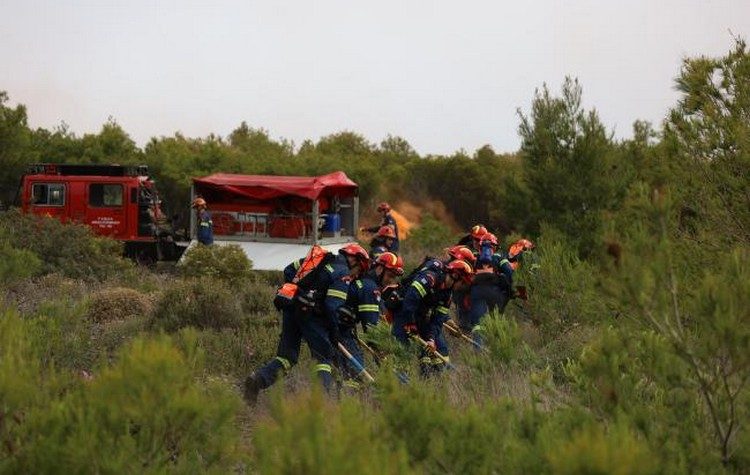 Πραγματοποιήθηκε η άσκηση «ΔΙΑ ΠΥΡΟΣ 2023» για την αντιμετώπιση μεγάλης δασικής πυρκαγιάς