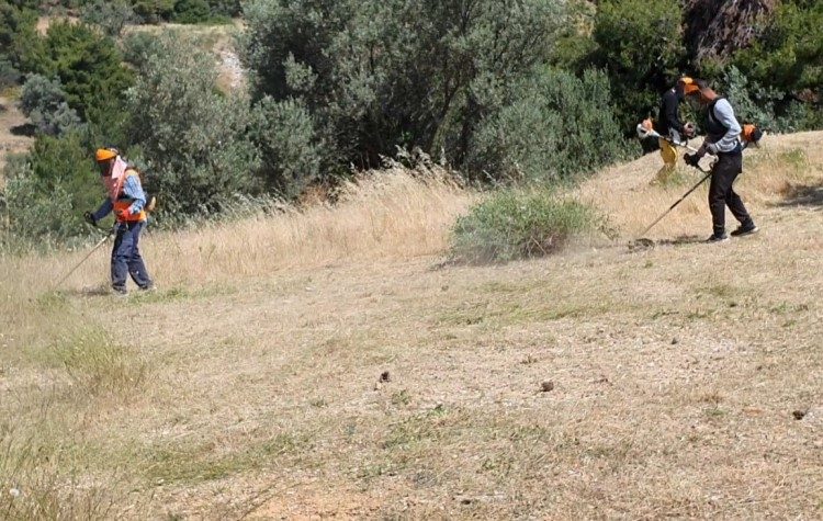 «Καμπανάκι» του Δήμου για καθαρισμό των ιδιωτικών οικοπέδων