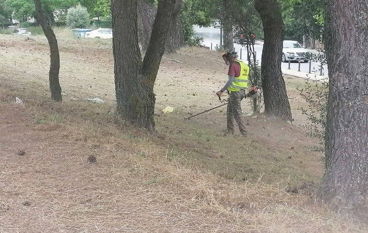 ΣΠΑΠ: Συνεχίζει με εντατικούς ρυθμούς τους καθαρισμούς και τις αποψιλώσεις