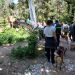Κυριακάτικη βόλτα στη Ρεματιά με τετράποδους… Χαλανδραίους