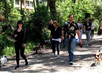 Κυριακάτικη βόλτα στη Ρεματιά με τετράποδους… Χαλανδραίους