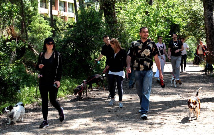 Κυριακάτικη βόλτα στη Ρεματιά με τετράποδους… Χαλανδραίους