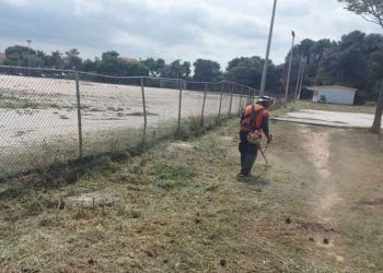 Καθαρισμοί αποψιλώσεις και κλαδέματα σε Δήμο και Πεντελικό από τον ΣΠΑΠ