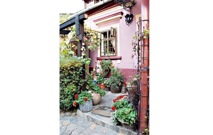 Κακές συνήθειες: Διαχρονικός πειρασμός οι ανθισμένοι κήποι…