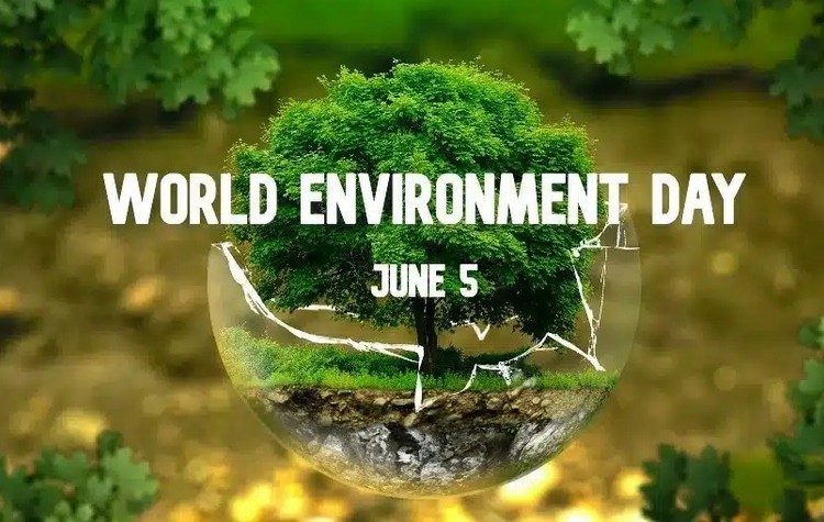 Δ. Παπακωνσταντίνου: «Δέσμευσή μας η Ανάπτυξη με δημοκρατικό σχεδιασμό και σεβασμό στο περιβάλλον»