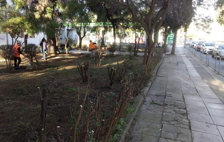 Δεντροφύτευση στις Εργατικές Κατοικίες Αμαρουσίου, Κυριακή 4 Ιουνίου