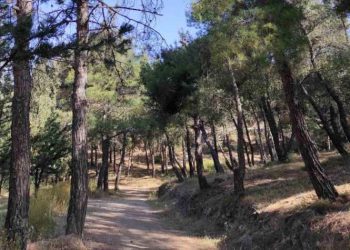 Αίτημα τεσσάρων συλλόγων να συζητηθεί ξεχωριστά στο Δημοτικό Συμβούλιο το θέμα του Υμηττού