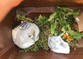 Hμερίδα του Δήμου για τα πρώτα συμπεράσματα από τις μετρήσεις απωλειών τροφίμων