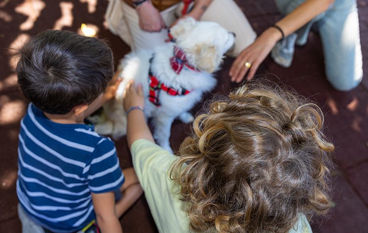 Τα παιδιά «εκπαιδεύονται» στη φιλοζωία