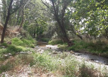 Δράση καθαρισμού στον Κηφισό την Κυριακή 11/6