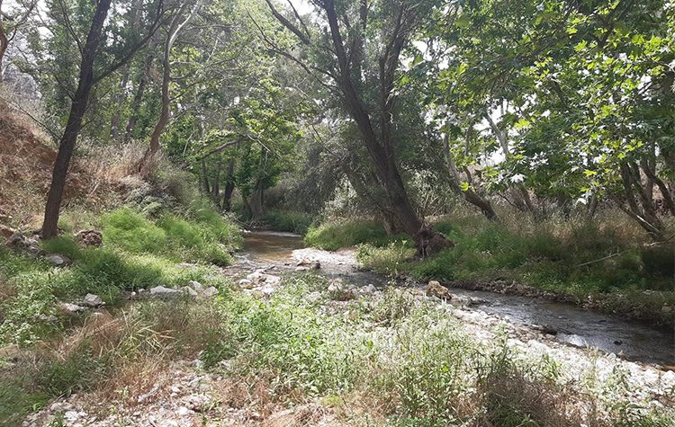Δράση καθαρισμού στον Κηφισό την Κυριακή 11/6