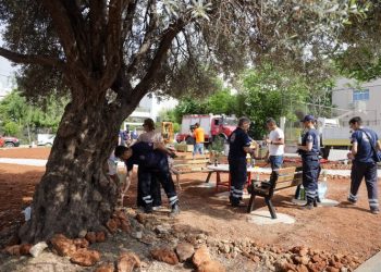 Οι εθελοντές του Δήμου Αμαρουσίου δενδροφύτευσαν στις Εργατικές Κατοικίες