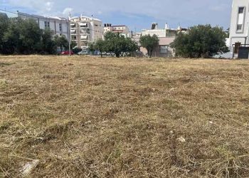 Ολοκληρώθηκε η συνδρομή του ΣΠΑΠ στις αποψιλώσεις στον Δήμο