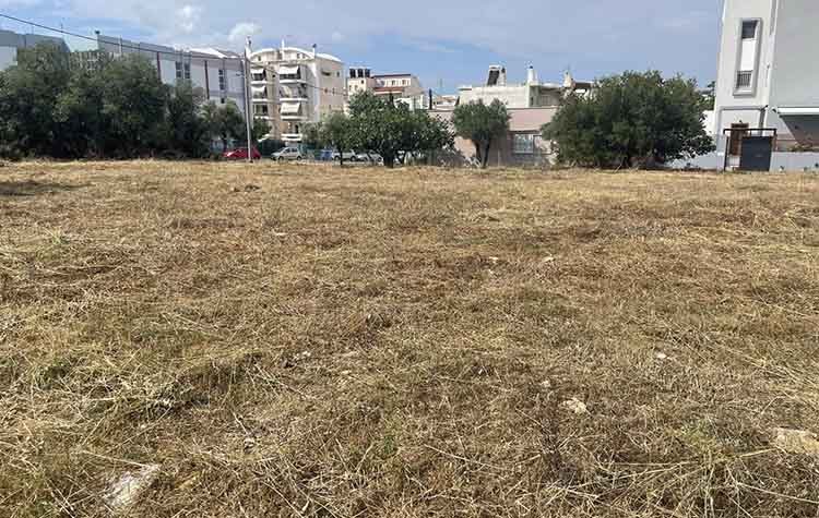 Ολοκληρώθηκε η συνδρομή του ΣΠΑΠ στις αποψιλώσεις στον Δήμο