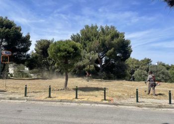  «Σήκωσαν μανίκια» εθελοντές και εργαζόμενοι του ΣΠΑΠ