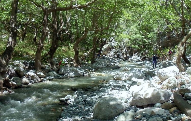 Σύλλογος Πεζοπόρων σε καλοκαιρινές… αποδράσεις