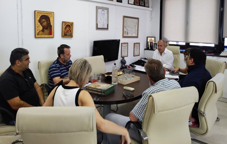 Αυστηρές συστάσεις στον ΔΕΔΔΗΕ για το κλάδεμα των δένδρων