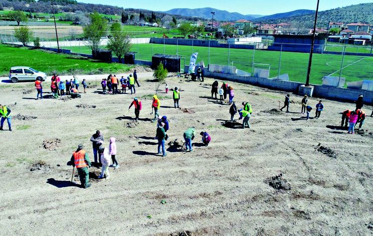 ΔΕΗ: Δενδροφυτεύσεις και εκπαιδεύσεις από τη ΔΕΗ και τη We4all