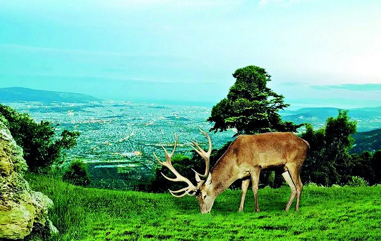 Regency Entertainment: Η Αειφόρος Ανάπτυξη απαιτεί διαρκή και συστηματική προσπάθεια