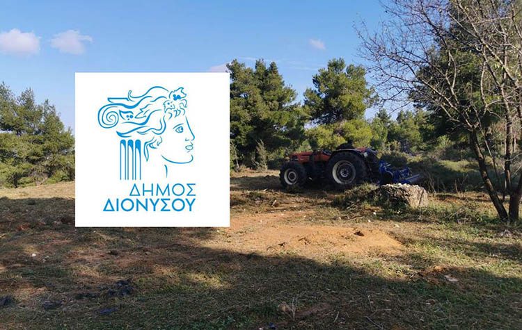 Δήμος: «Πέντε αλήθειες για τους καθαρισμούς κοινόχρηστων χώρων και οικοπέδων»