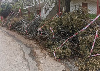Δήμος: Όχι κηπαία και κλαδιά σε δρόμους και κοινόχρηστους χώρους εν μέσω καύσωνα