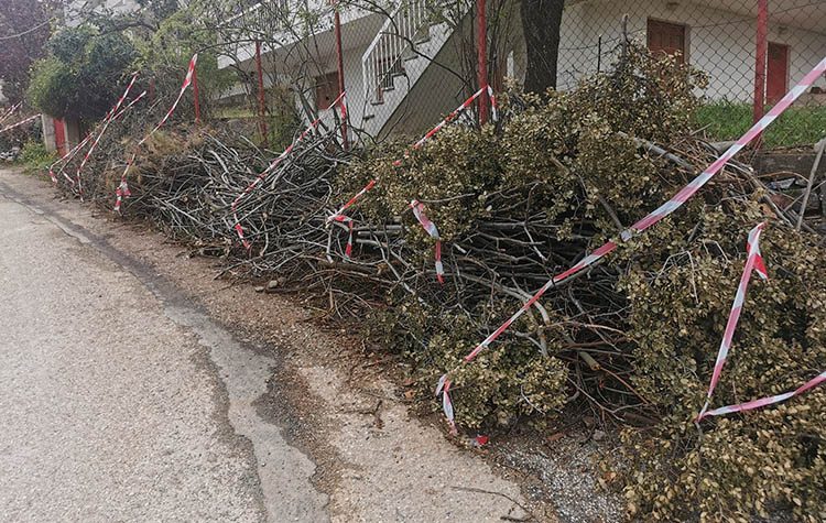 Δήμος: Όχι κηπαία και κλαδιά σε δρόμους και κοινόχρηστους χώρους εν μέσω καύσωνα