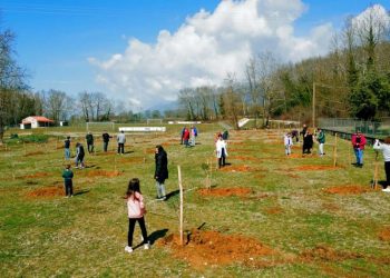 ΚΕΠΑ - Απολογισμός δενδροφυτεύσεων Πρωτοβουλίας «75UN - 75 Trees UNAI SDG7» (2022-2023)