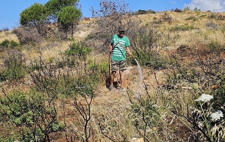 Με επιτυχία ολοκληρώθηκε το 1ο Εθελοντικό Πότισμα για το 2023 στο Πεντελικό