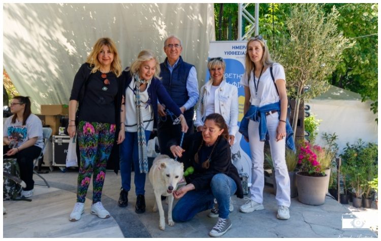 Φροντίδα για τα αδέσποτα - Οι δράσεις φιλοζωίας του Δήμου  σε αριθμούς