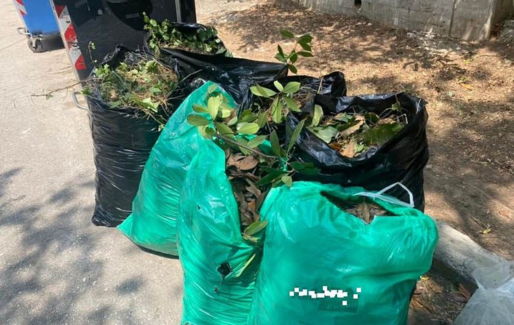 Προσωρινή απαγόρευση εναπόθεσης κηπαίων στον Δήμο Κηφισιάς