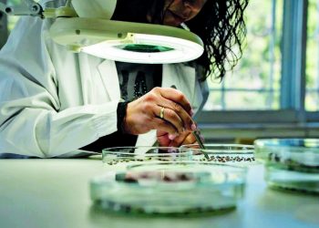 Motor Oil: «Φροντίζω»