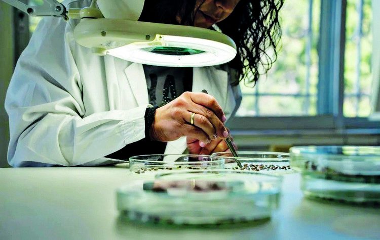 Motor Oil: «Φροντίζω»