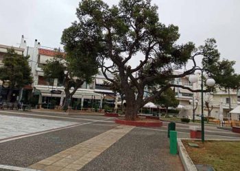 Στην ψηφιακή πλατφόρμα Zero Waste για τα καταστήματα υγειονομικού ενδιαφέροντος ο Δήμος